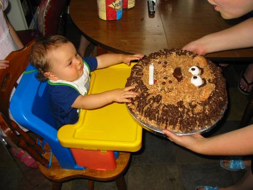 Seth's lion shaped cake