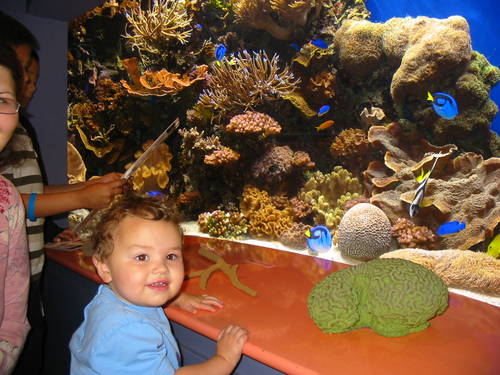 Seth at the Monterey Bay Aquarium